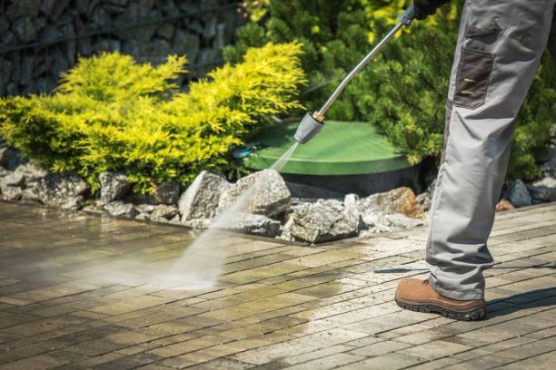 Animal Enclosure Cleaning in Stock Island, FL