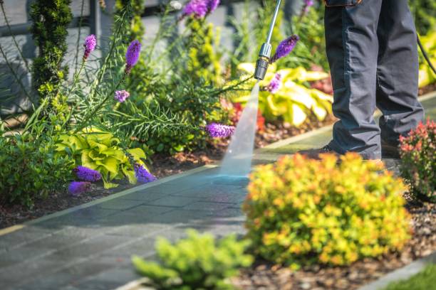 Best Driveway Pressure Washing  in Stock Island, FL